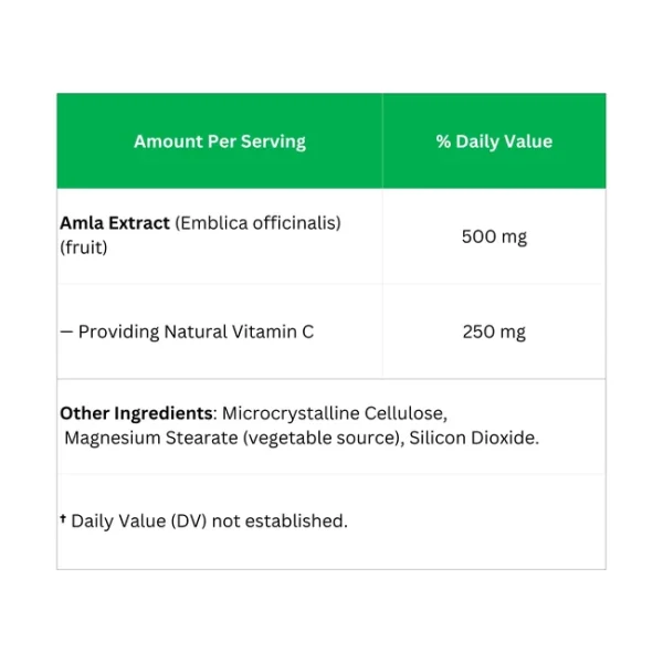Amla Tablets – Natural Vitamin C & Digestive Support - Image 2