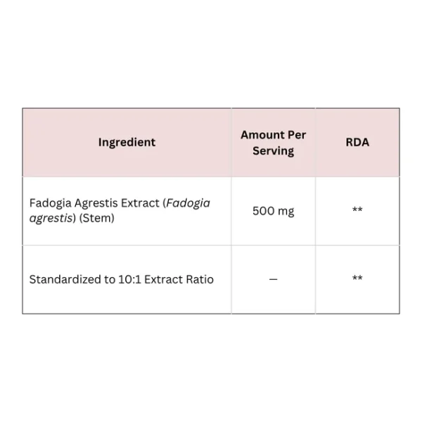Fadogia Extract Capsules - Image 2