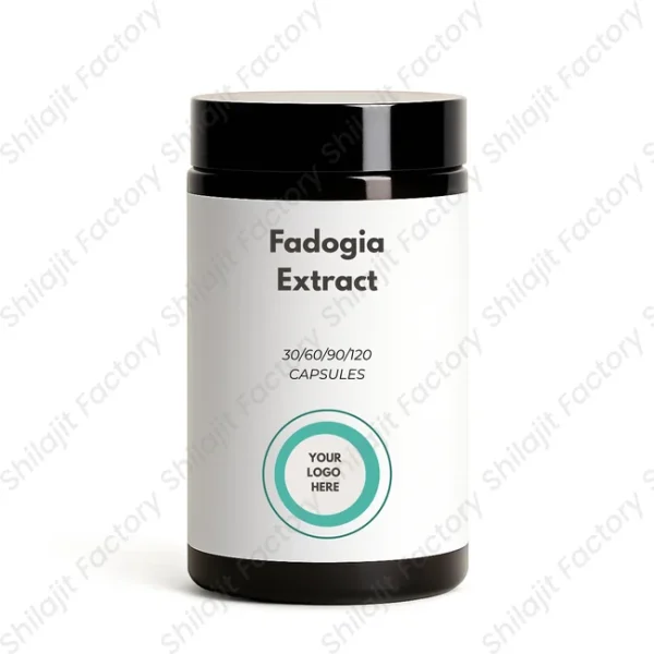 Fadogia Extract Capsules