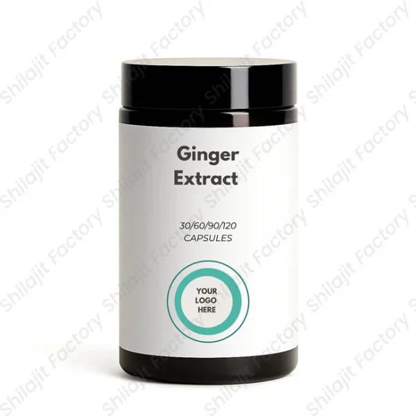 Ginger Extract Capsules