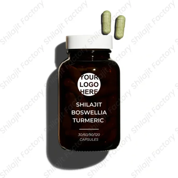 Shilajit + Boswellia + Turmeric – Joint Support Formula – 500 mg