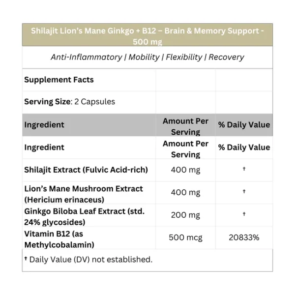 Shilajit + Lion’s Mane + Ginkgo + B12 – Brain & Memory Support – 500 mg - Image 2