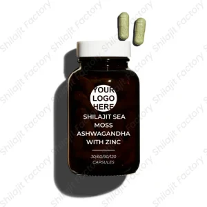 Shilajit + Sea Moss + Ashwagandha with Zinc & Magnesium – 500 mg