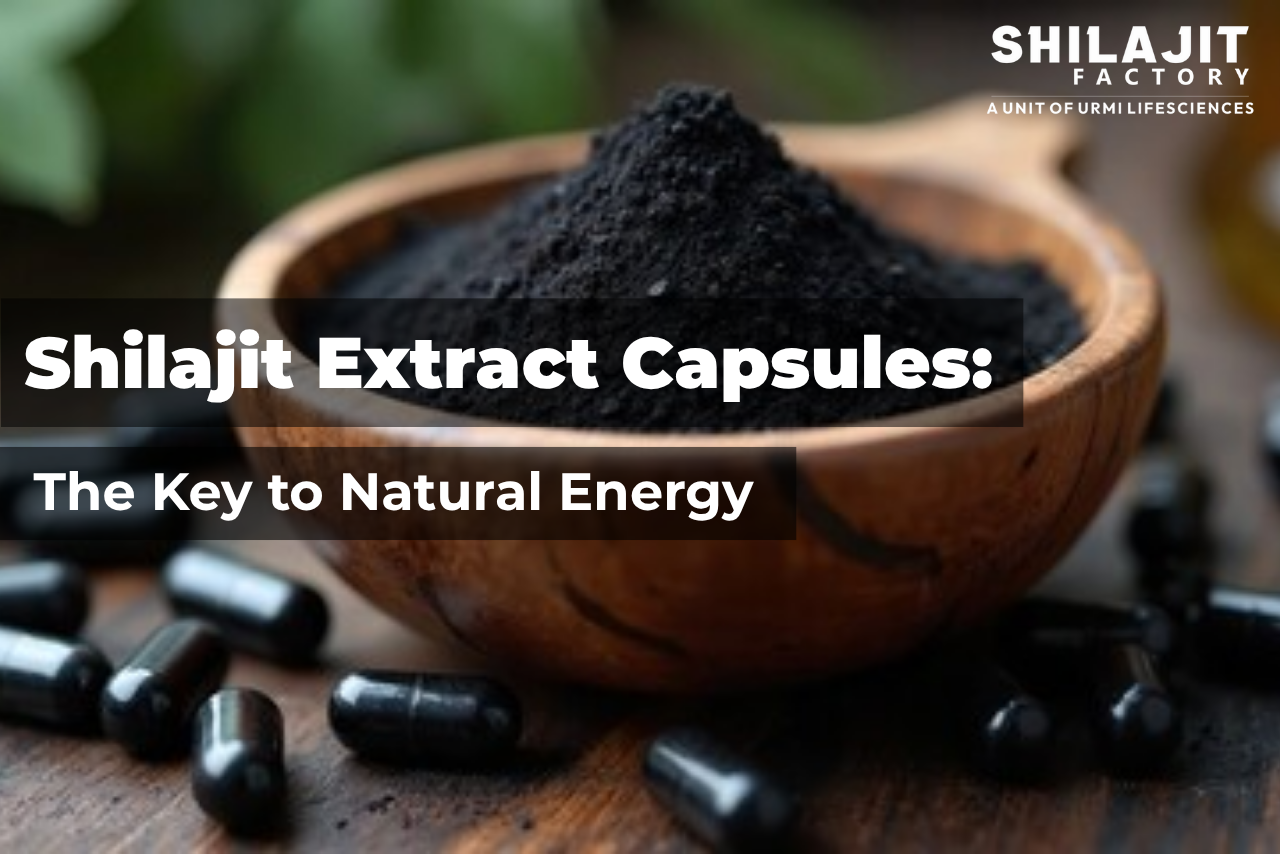 Shilajit Extract Capsules