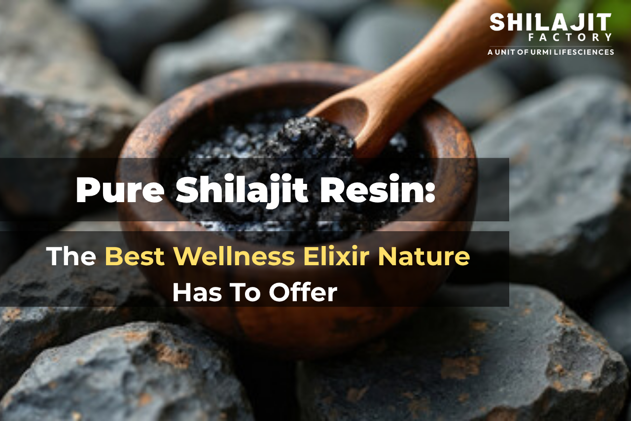 Pure Shilajit resin