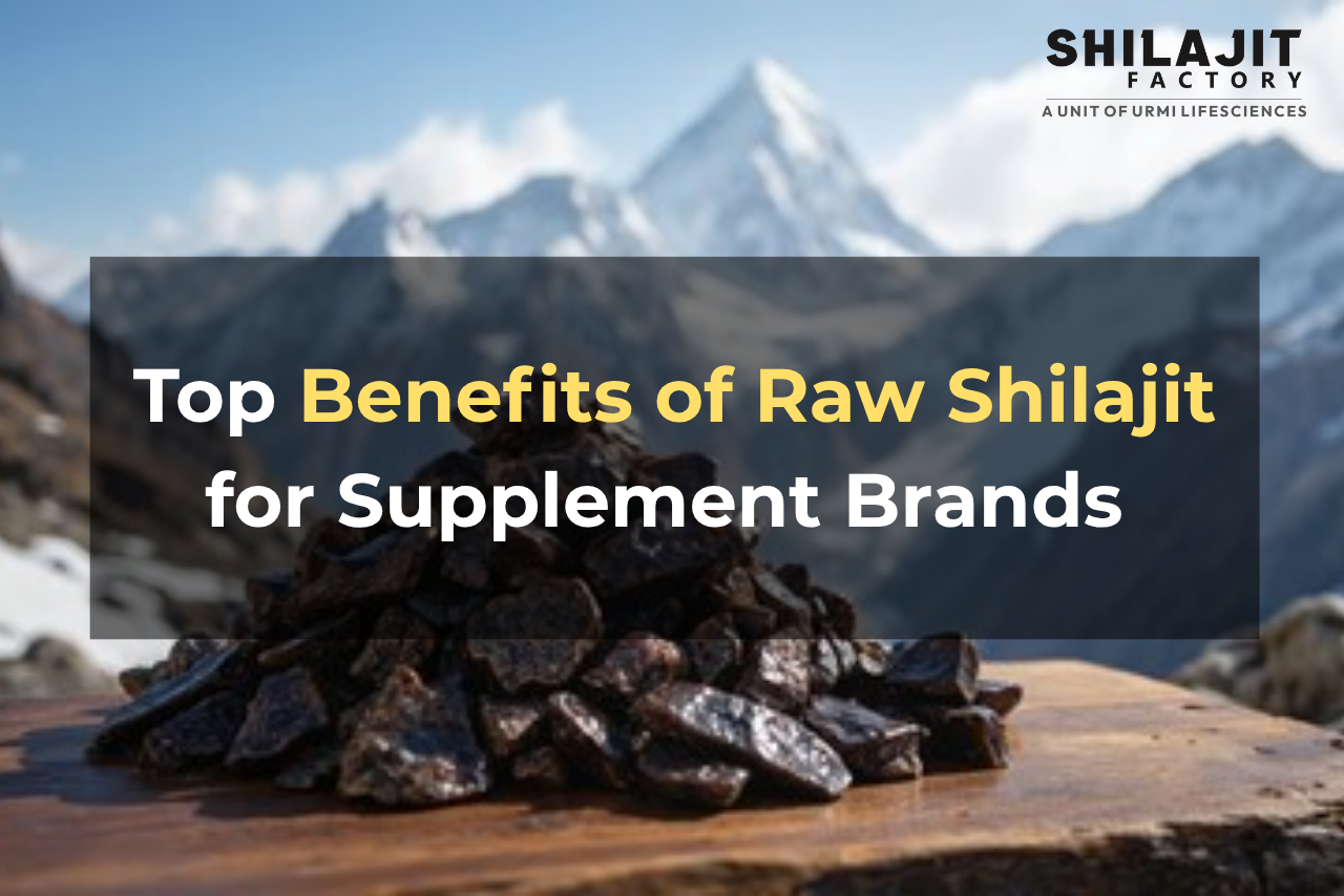Raw Shilajit for Supplement Brands