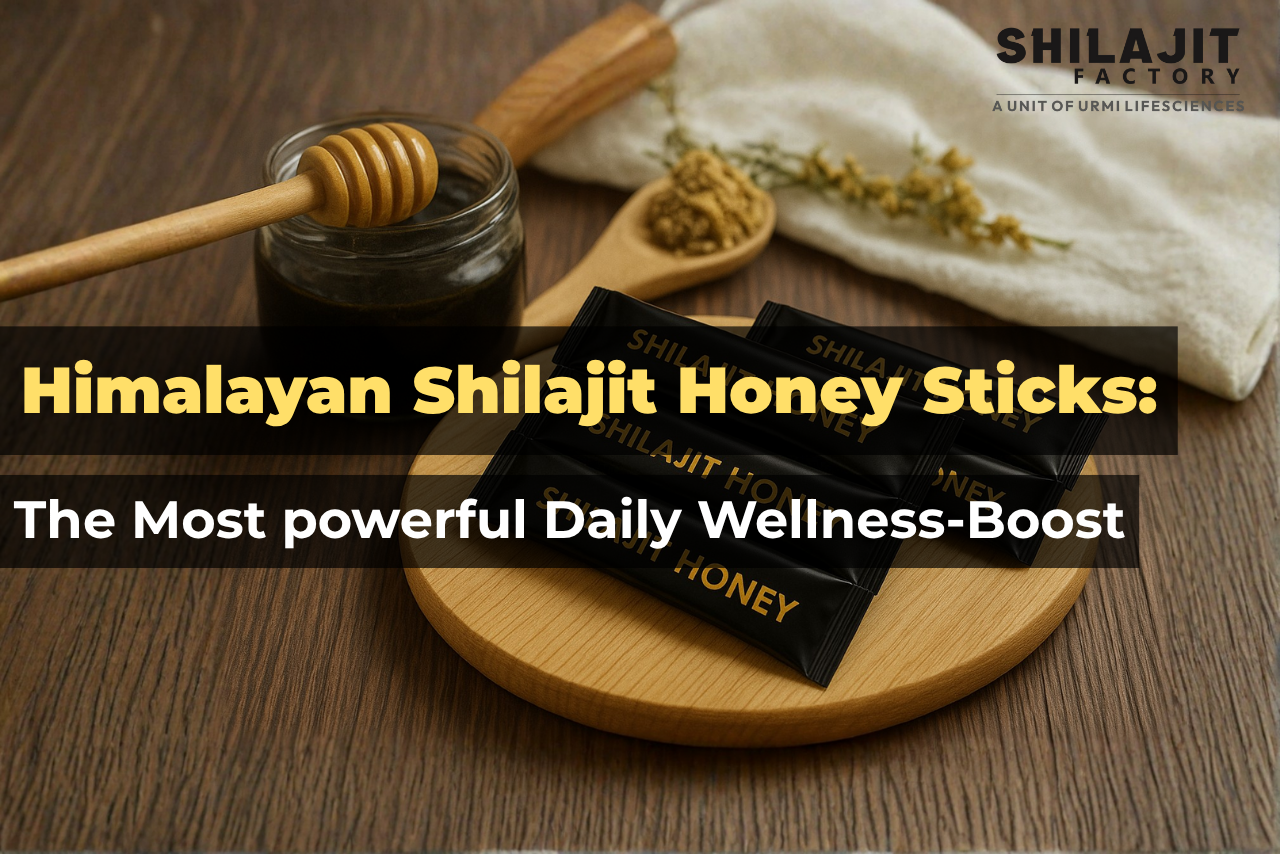 Shilajit-Manufacturer-in-India-Private