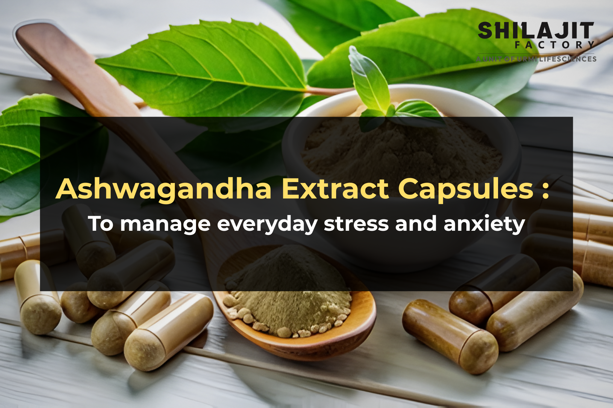 Ashwagandha extract capsules