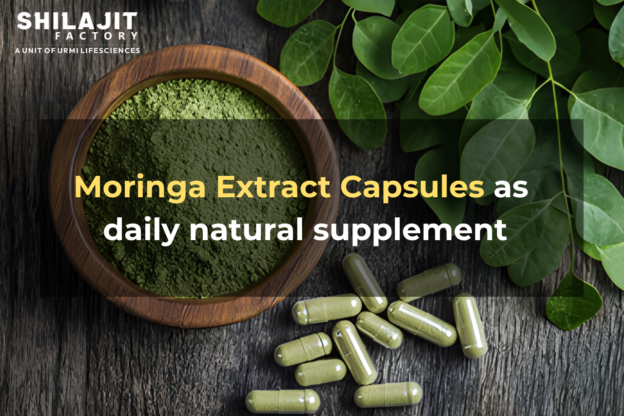 Moringa Extract Capsules as Daily Natural Supplement
