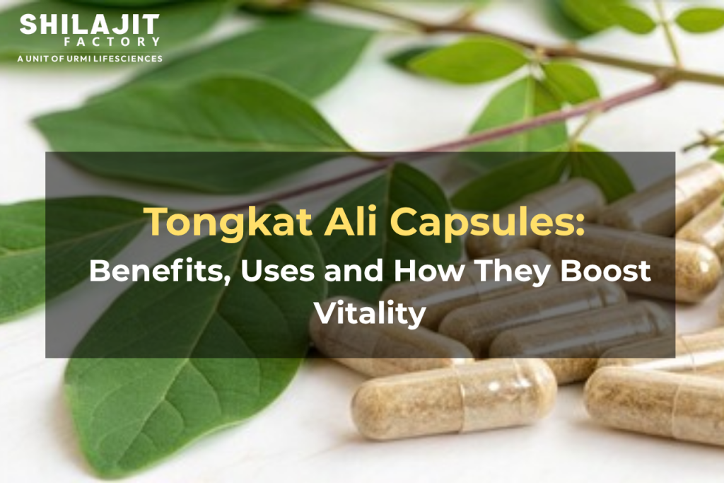 Tongkat Ali Capsules: Benefits, Uses and How They Boost Vitality