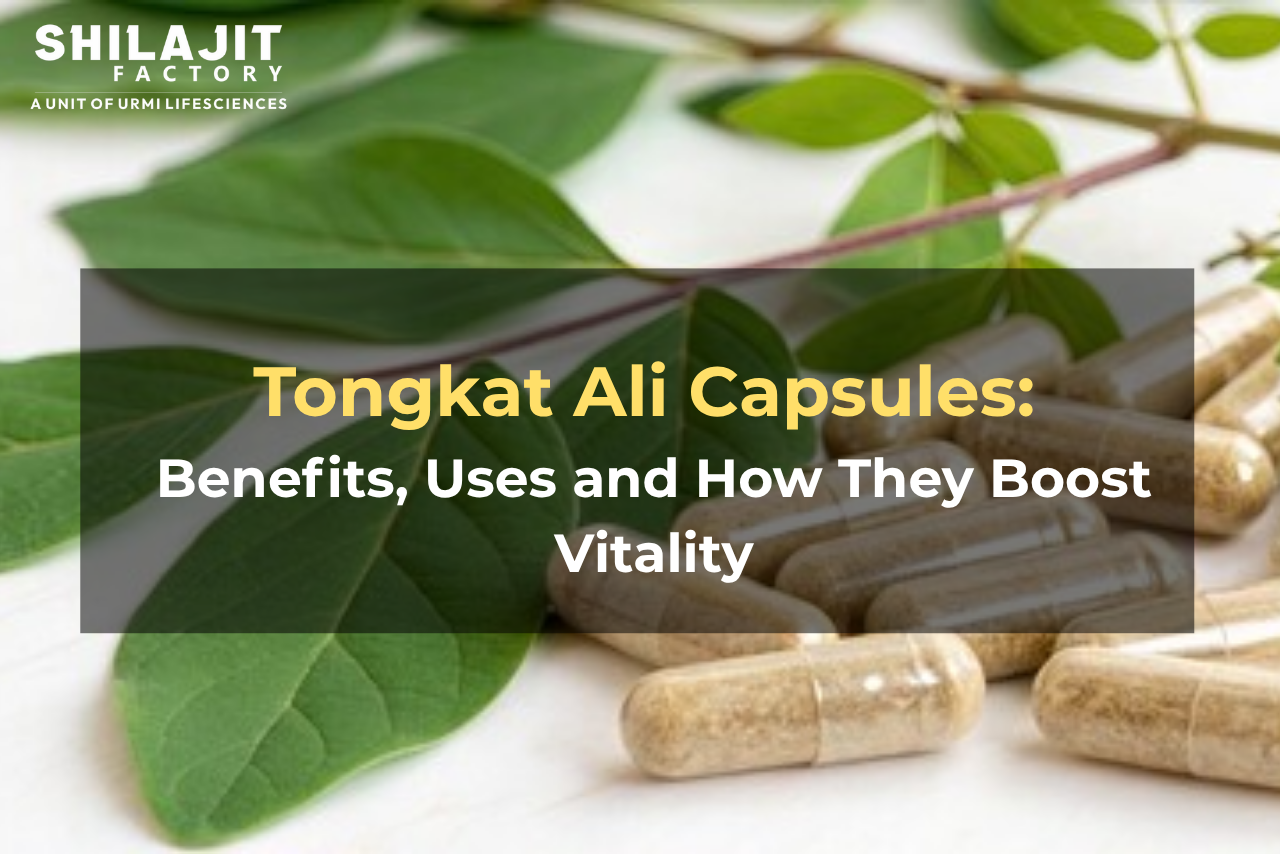 Tongkat Ali Capsules: Benefits, Uses and How They Boost Vitality