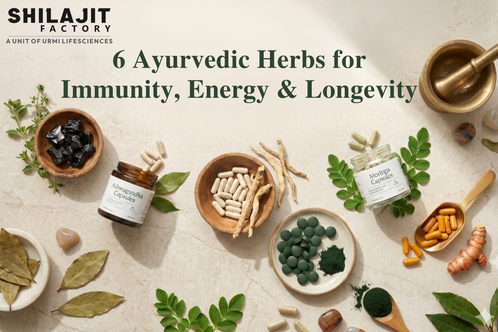 6 Ayurvedic Herbs for Immunity, Energy & Longevity