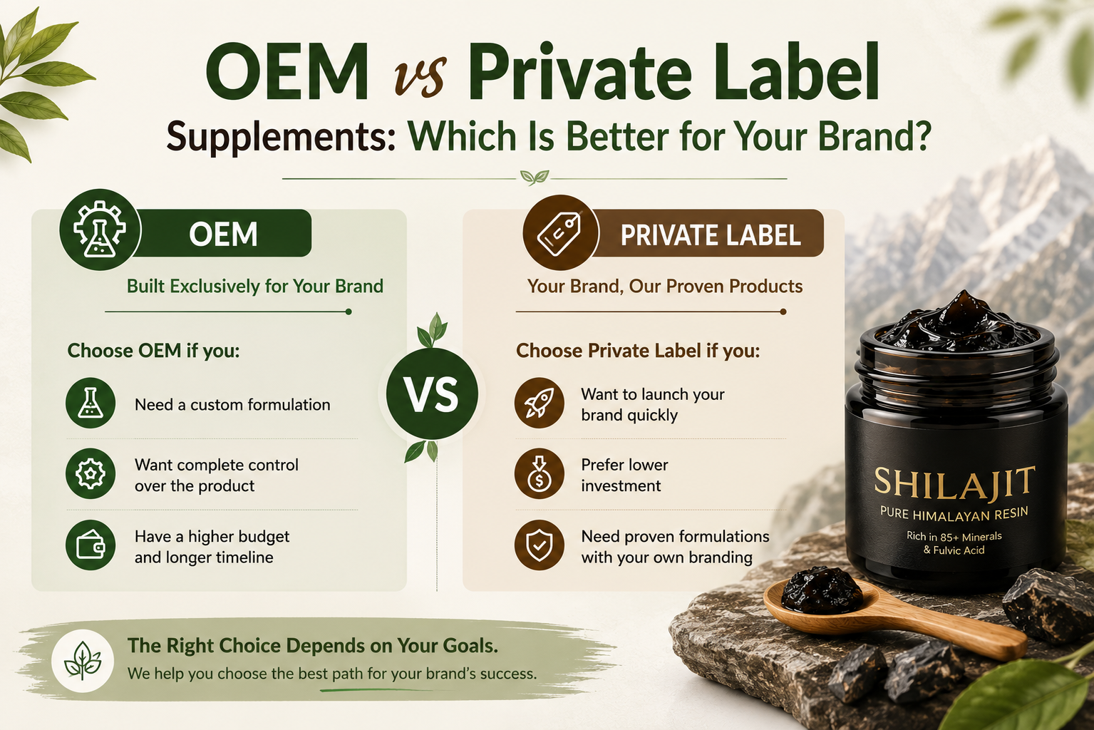 Shilajit Supplier and Manufacturer