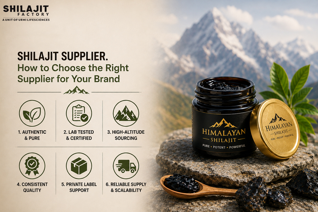 Shilajit Supplier in India